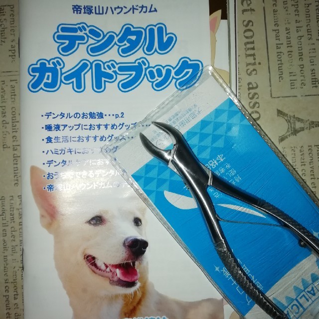 帝塚山ハウンドカム　犬猫用歯石取りペンチ | フリマアプリ ラクマ