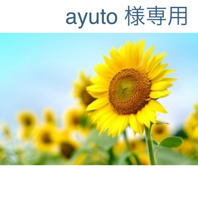 ayuto 様専用ページ スマホ/家電/カメラのスマホアクセサリー(その他)の商品写真
