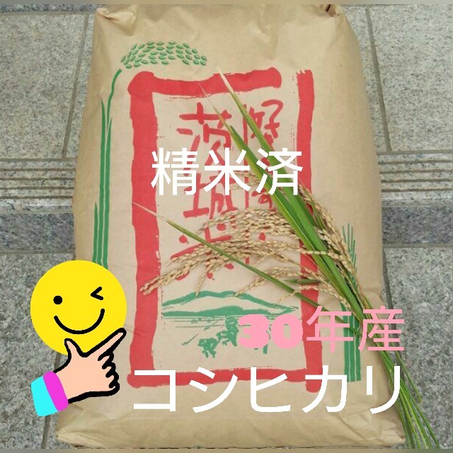 ゆき様専用です😊コシヒカリ精米24kg 食品/飲料/酒の食品(米/穀物)の商品写真