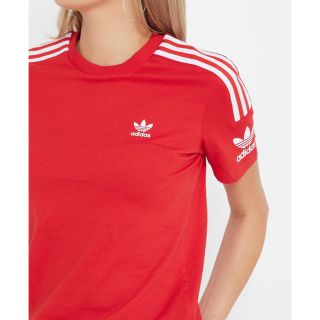 アディダス(adidas)のAdidasアディダスオリジナルス 男女兼用Tシャツ Lサイズ(Tシャツ(半袖/袖なし))