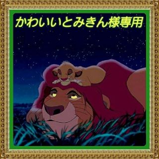 ディズニー(Disney)のかわいいとみきん様専用(ミリタリージャケット)