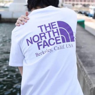 ザノースフェイス(THE NORTH FACE)のノースフェイス パープルレーベル L(Tシャツ/カットソー(半袖/袖なし))