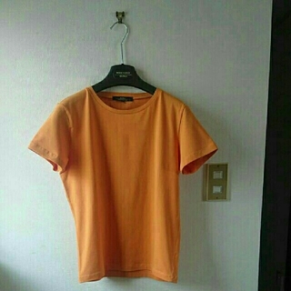 マックスマーラ(Max Mara)のマックスマーラウィークエンドラインTシャツ(Tシャツ(半袖/袖なし))