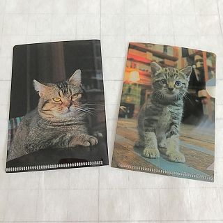 ミニミニファイル  2個セット(猫)
