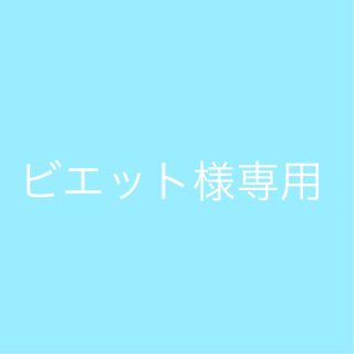 ビエット様専用(その他)