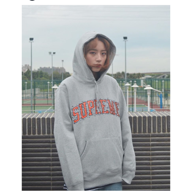 タグ付きSupreme Water Arc Hooded Sweatshirt パーカー - パーカー