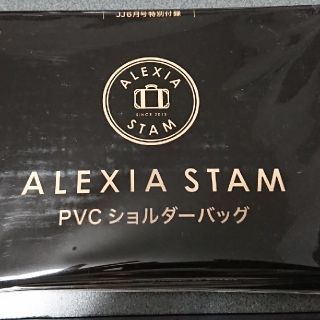 アリシアスタン(ALEXIA STAM)のALEXLA STAM PVC ショルダーバッグ(ショルダーバッグ)