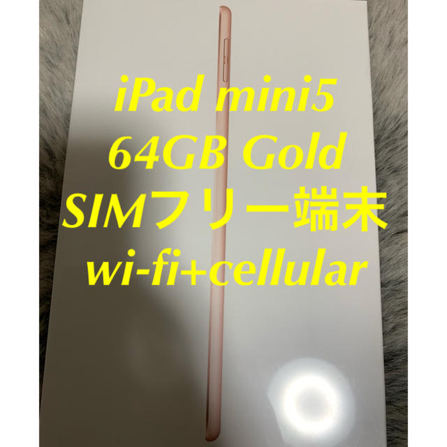 iPad mini5