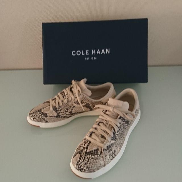 Cole Haan(コールハーン)のCOLE HAAN  グランドプロテニスシュ一ズ レディースの靴/シューズ(スニーカー)の商品写真