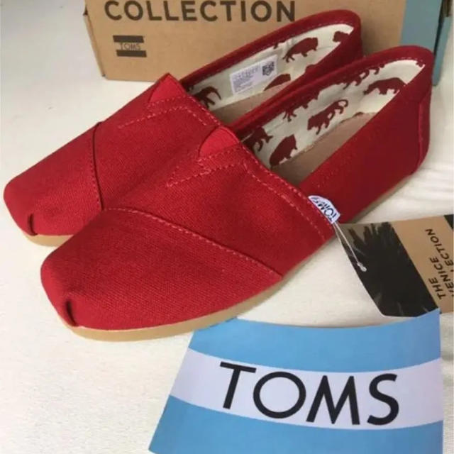 新品未使用 TOMS スリッポン レディースの靴/シューズ(スリッポン/モカシン)の商品写真