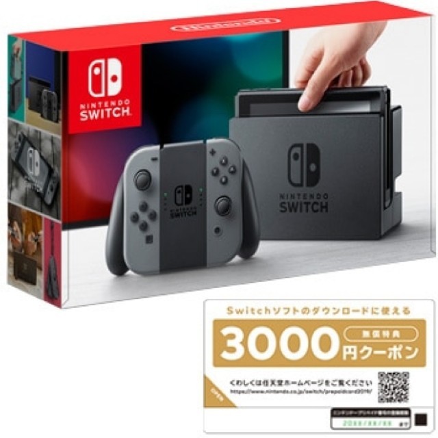Nintendo Switch Joy-Con (L) / (R) グレー　2台