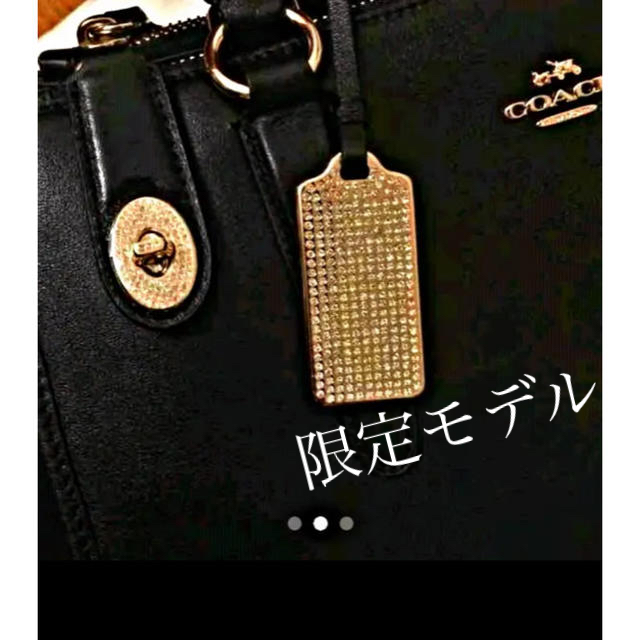 スワロ❤️COACH❤️コーチ❤️限定❤️希少❤️パヴェ クロスビー