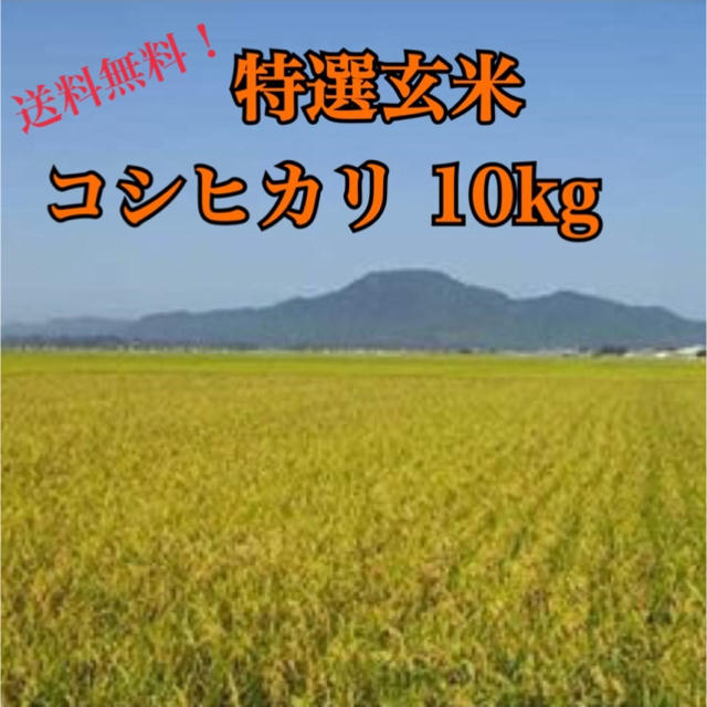 特選玄米コシヒカリ10キロ　米/穀物