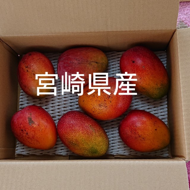 happy1016さん専用 家庭用(訳あり) 完熟マンゴー 食品/飲料/酒の食品(フルーツ)の商品写真