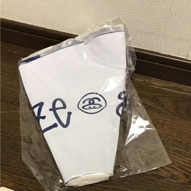 STUSSY(ステューシー)のSTUSSY 浮き輪 メンズのメンズ その他(その他)の商品写真