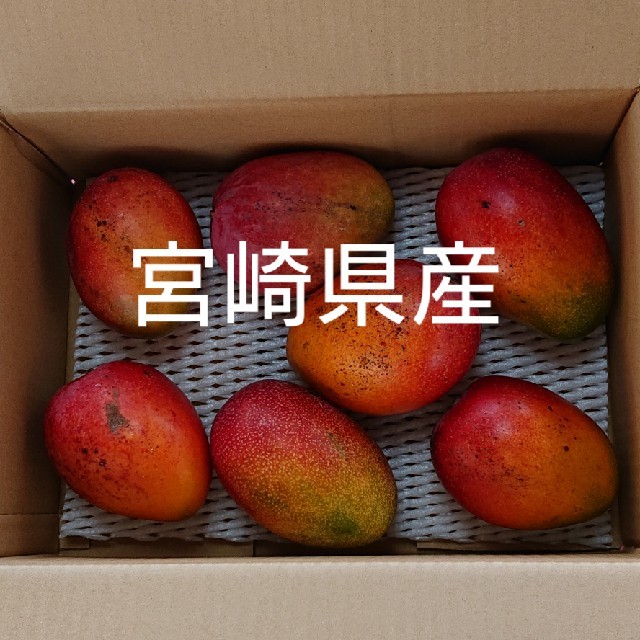 家庭用(訳あり) 完熟マンゴー ３キロ段ボール 食品/飲料/酒の食品(フルーツ)の商品写真