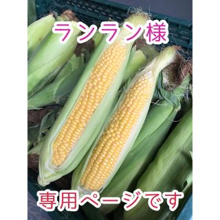 ランランさま専用 恵味ゴールド(野菜)