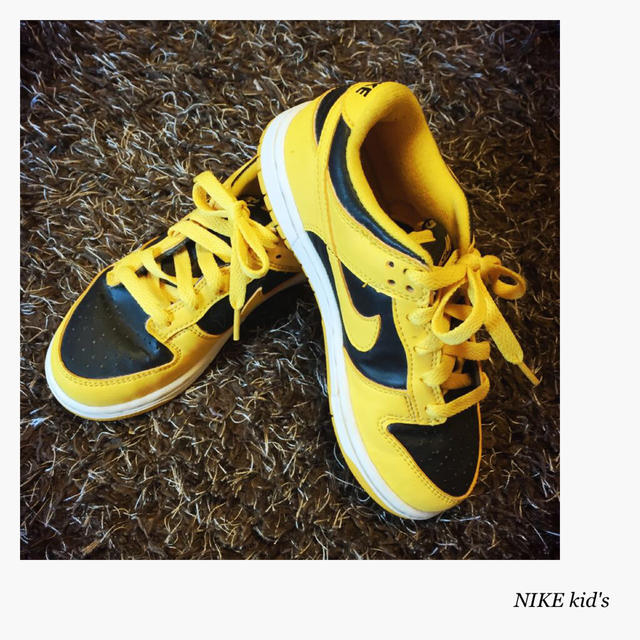 NIKE(ナイキ)の★NIKE kid'sスニーカー★ キッズ/ベビー/マタニティのキッズ靴/シューズ(15cm~)(スニーカー)の商品写真