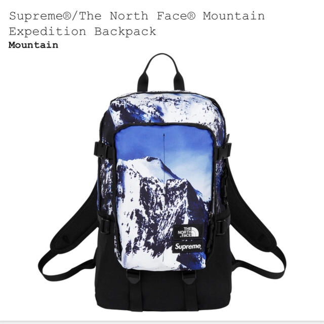 Supreme The North Face Mountain Backpack