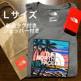 ザノースフェイス(THE NORTH FACE)の【新品】THE NORTH FACE ハワイ限定Tシャツ　二枚セット(Tシャツ/カットソー(半袖/袖なし))