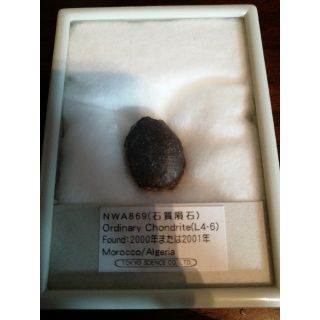 隕石　中古　標本(その他)