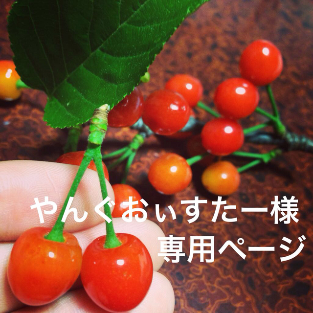 こちらでℰ やんぐおぃすたー様専用ページ ください