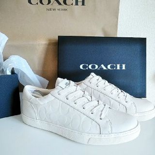 コーチ(COACH)の新品2019COACH メンズ ロートップレザースニーカー(スニーカー)