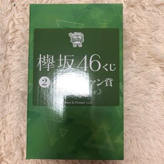 ケヤキザカフォーティーシックス(欅坂46(けやき坂46))の専用(女性アイドル)