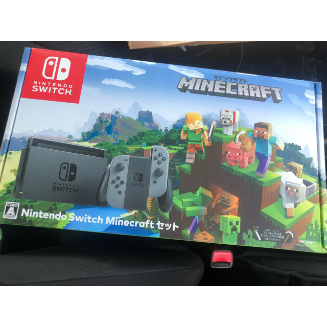 Nintendo Switch - たけちゃん様専用スイッチ本体マインクラフトの通販