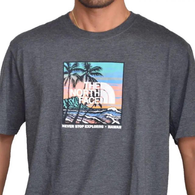 ハワイ限定 ◆ ノースフェイス ロゴ Tシャツ hawaii M ◆