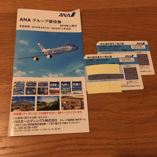エーエヌエー(ゼンニッポンクウユ)(ANA(全日本空輸))のANAの株主割引券とツアー割引券(その他)