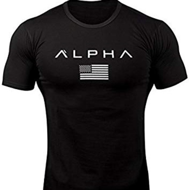 ALPHPアルファＴシャツ