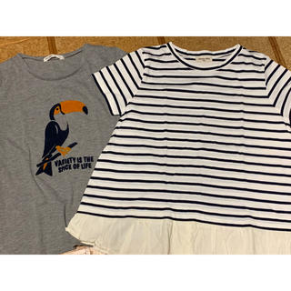 サマンサモスモス(SM2)の【SALE】SM2 & ehkasopo Tシャツセット(Tシャツ(半袖/袖なし))