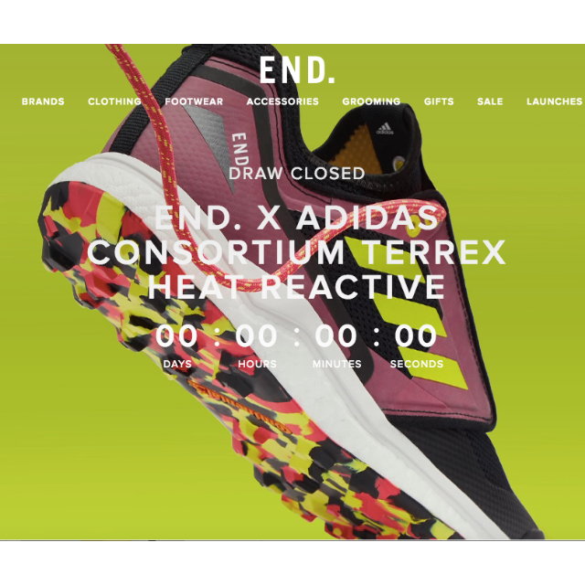 売り切れ必至！ adidas - END. x Adidas Terrex 海外限定発売！ 26.5cm スニーカー