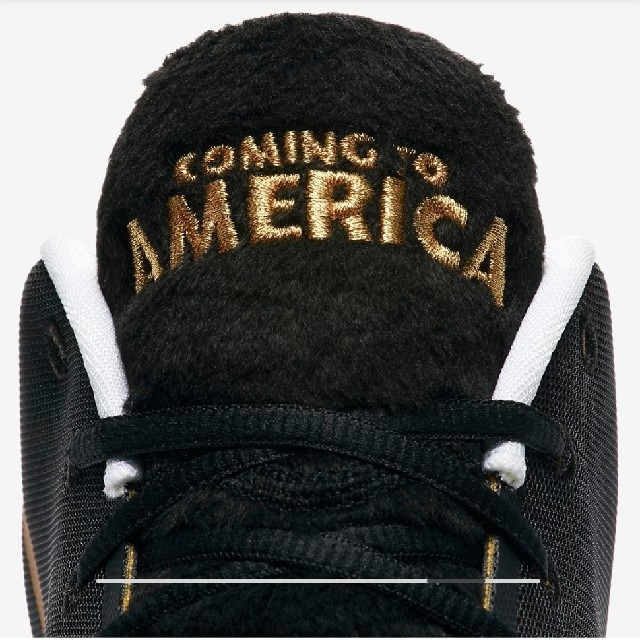 NIKE ズームフリーク1 coming to america 26.5　ヤニス