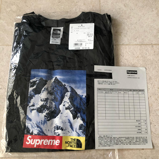 Supreme  The North Face Mountain Tee