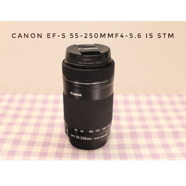 Canon EF-S 55-250mmF4-5.6 IS STM