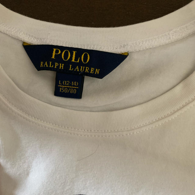 POLO RALPH LAUREN(ポロラルフローレン)のフリル初心者さま。ラルフローレンキッズレディス150 キッズ/ベビー/マタニティのキッズ服女の子用(90cm~)(Tシャツ/カットソー)の商品写真