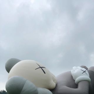 限定】Kaws holiday カウズホリデー 日本富士山限定品セットの通販 by ...