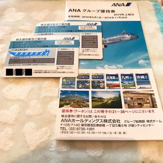 エーエヌエー(ゼンニッポンクウユ)(ANA(全日本空輸))のANA 全日本空輸 株主優待券 ２枚(その他)