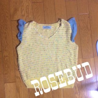 ローズバッド(ROSE BUD)のROSEBUD☆ショート丈トップス(カットソー(半袖/袖なし))