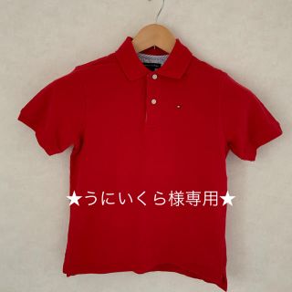 トミーヒルフィガー(TOMMY HILFIGER)のうにいくら様専用【新品タグ付】トミーヒルフィガー 赤 ポロシャツ (その他)