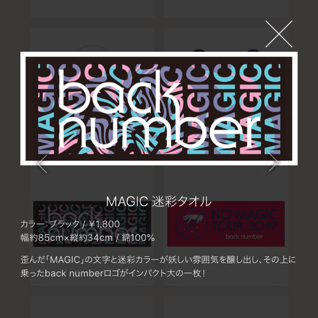 BACK NUMBER(バックナンバー)のバックナンバー ライブ タオル no magic tour エンタメ/ホビーのタレントグッズ(ミュージシャン)の商品写真