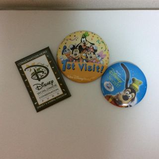 ディズニー(Disney)のWalt Disney World 缶バッジ(キャラクターグッズ)