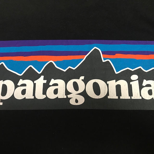 patagonia(パタゴニア)のパタゴニア P-6 Logo Tシャツ メンズのトップス(Tシャツ/カットソー(半袖/袖なし))の商品写真