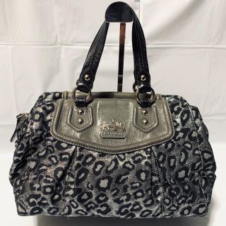 コーチ(COACH)のCOACH コーチ ハンドバッグ レオパード柄 320(ハンドバッグ)