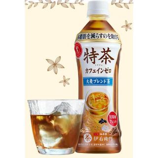 ■■訳あり　特茶　カフェインゼロ　500ml（特保）2箱（計48本）(茶)