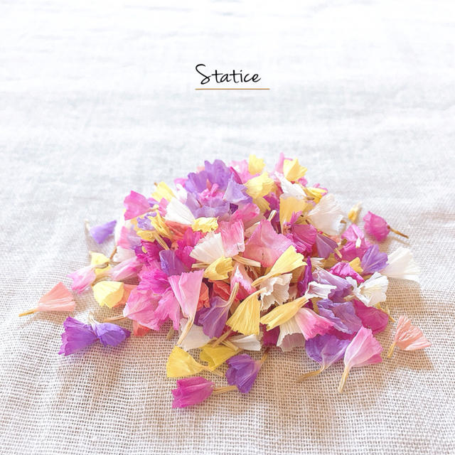 たっぷり ʾʾ スターチス 花びら ドライフラワー の通販 By C H A A K O S Shop ラクマ たっぷり ʾʾ スターチス 花びら ドライフラワー の通販 By C H A A K O S Shop ラクマ