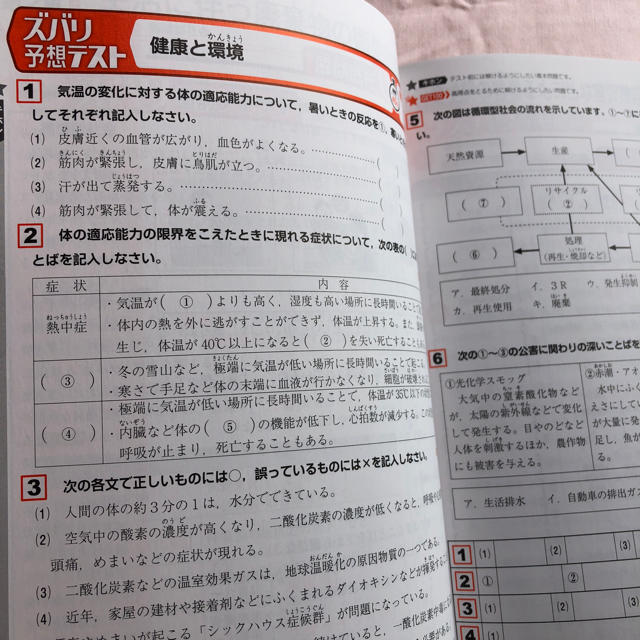 中学生 保健体育 中間 期末テスト対策 ズバリよくでる 赤シート付き