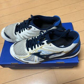 ミズノ(MIZUNO)のバレーボールシューズ(その他)